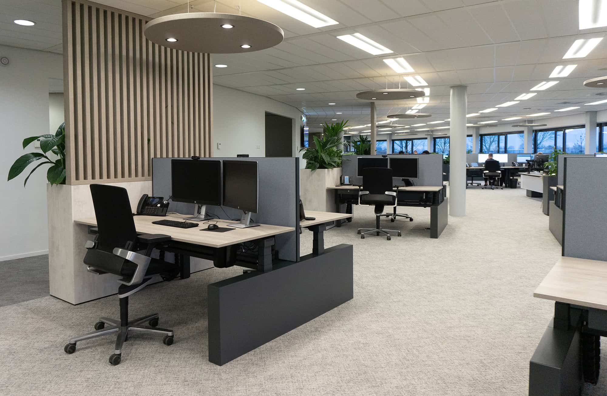 Kantoortuin met ronde vormen