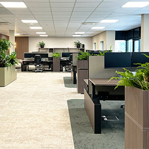 Biophilic kantoorinrichting geleverd oor OOFF.