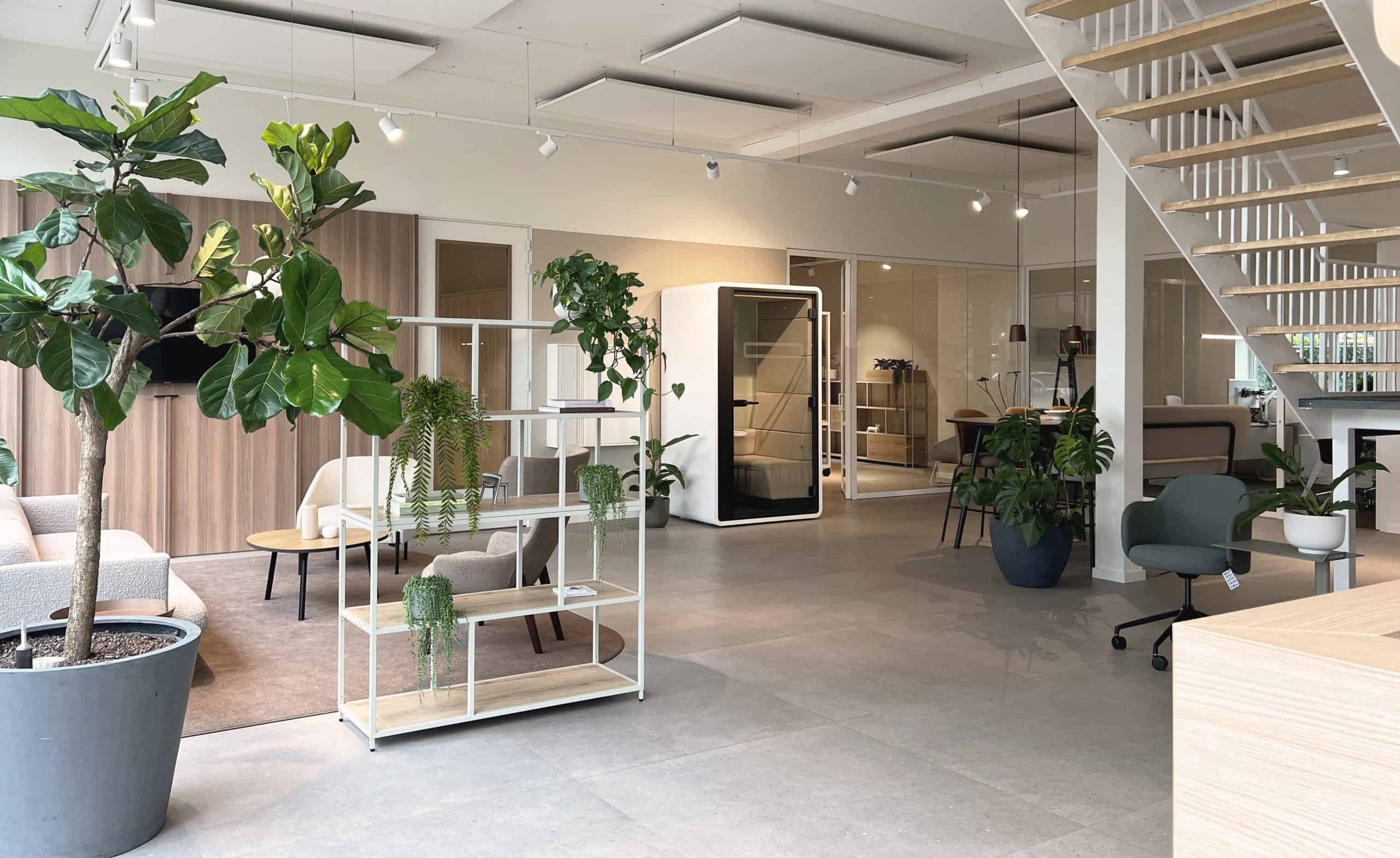 showroom homepage scaled