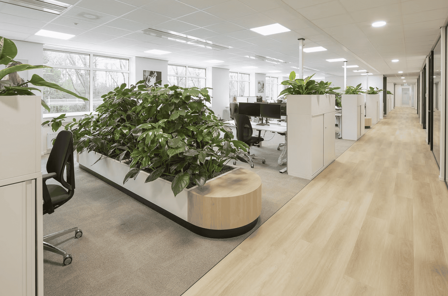 Gerealiseerde kantoorruimte