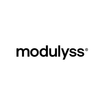 logo modulyss